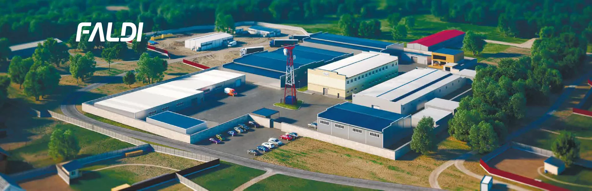 Faldi / Россия